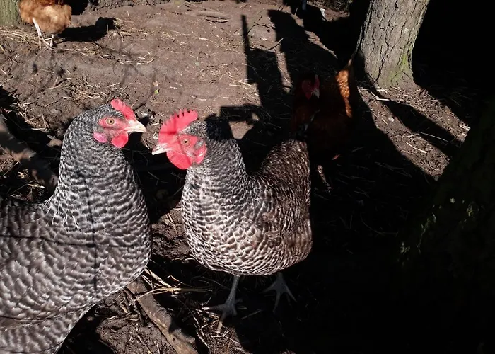 شقة Neulandhof Spoering فالسروده