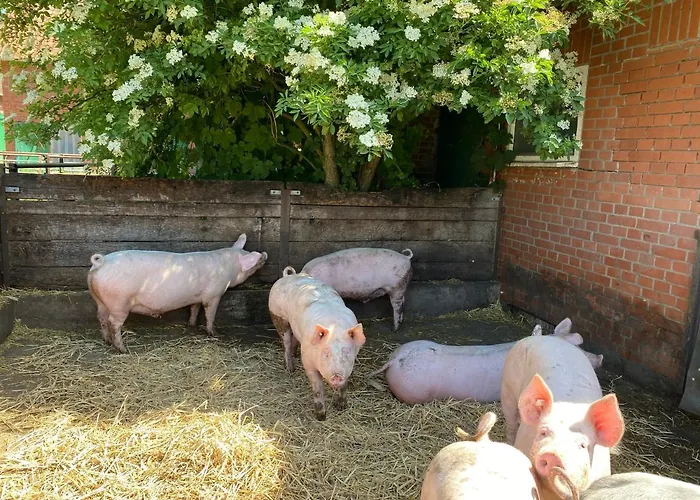 Neulandhof Spoering شقة فالسروده